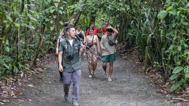 La Fortuna: Tembel Hayvanlar ve Kahve, Çikolata ve Şeker Kamışı Turu - Photo 2 (Gallery view)