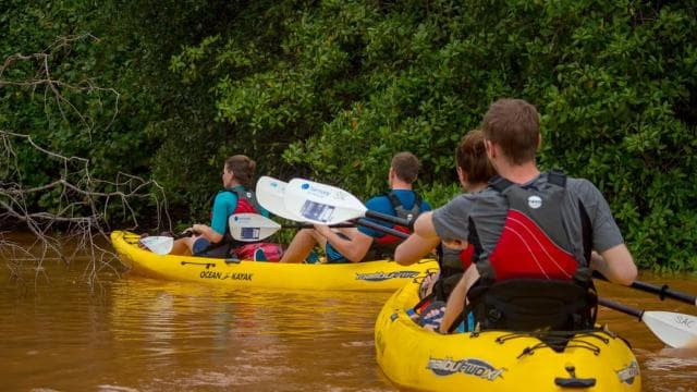 Uvita: Kayak & Snorkel Private Tour - Marino Ballena N. Park - Photo 5 (Gallery view)