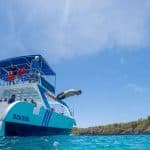 Catalina Island Tour: Boat, Beach Stay, Lunch & Free Drinks