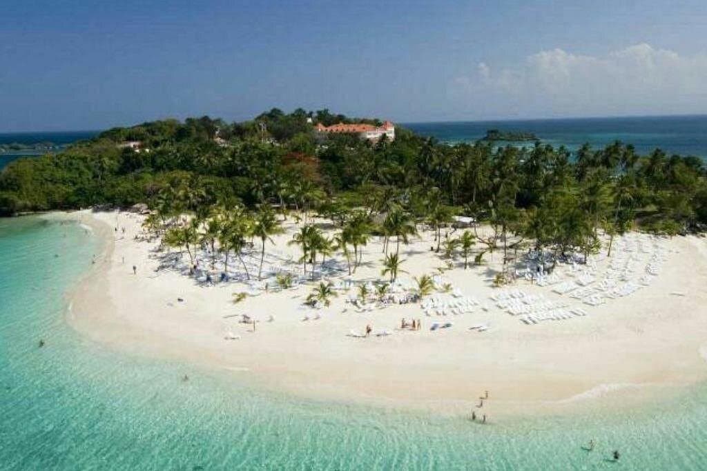 Whale watching + cay raised from Punta Cana