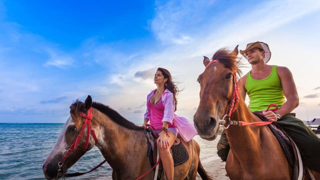 2hour horseback riding adventure on the beach jungle & river