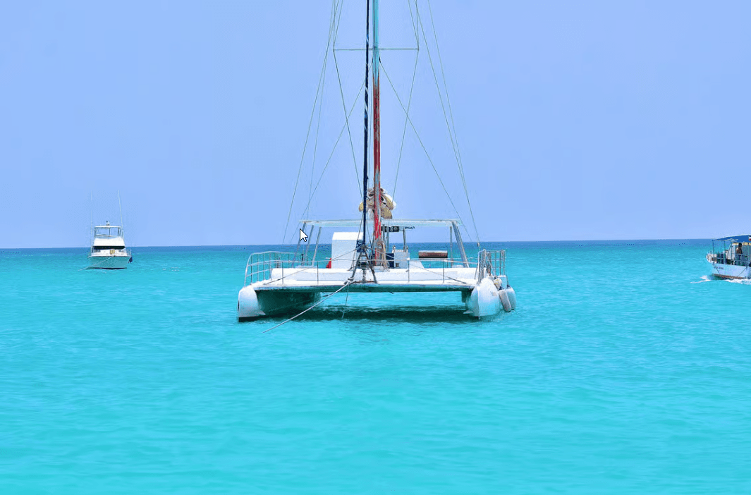 Punta cana: Island Escape to Saona • catamaran & Beach lunch - Dominican Republic
