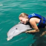 Dolphin Swim in Punta Cana – Best 60-min Dolphin Discovery