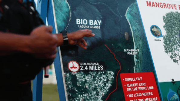 Fajardo: Bio Bay Kayak Tour - Photo 5 (Gallery view)