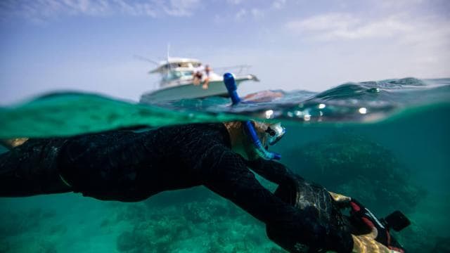 Fajardo: Private Sailing & Snorkeling Trip with Lunch - Photo 3 (Gallery view)