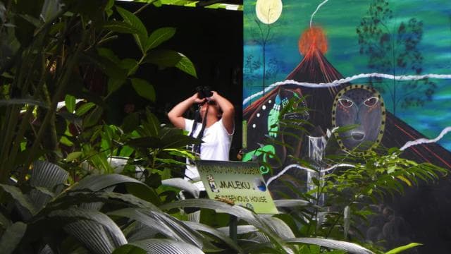 La Fortuna:Butterflies, birds, sloths and Trails Guided Tour