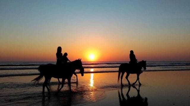 Uvita: Horseback Riding Costa Rica