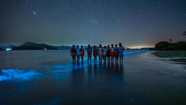 Bioluminescence Tour; Speedboat, Camping (From San José)
