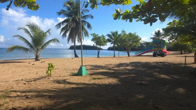 Vega Alta: Playa Cerro Gordo Snorkeling Tour