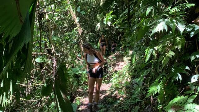 Puerto Viejo or Cahuita: Bribri Hidden Waterfalls Excursion with Lunch - Photo 5 (Gallery view)