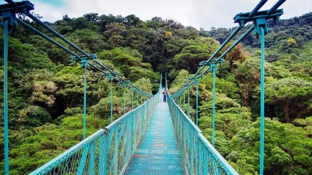 From San José: Monteverde Hanging Bridges Day Trip