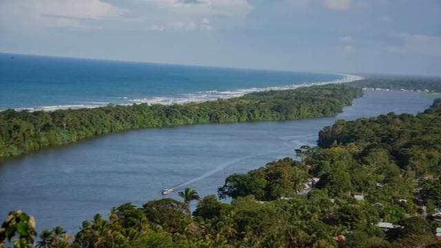 Motorboat Tour in Tortuguero National Park **BEST SELLER** - Photo 5 (Gallery view)