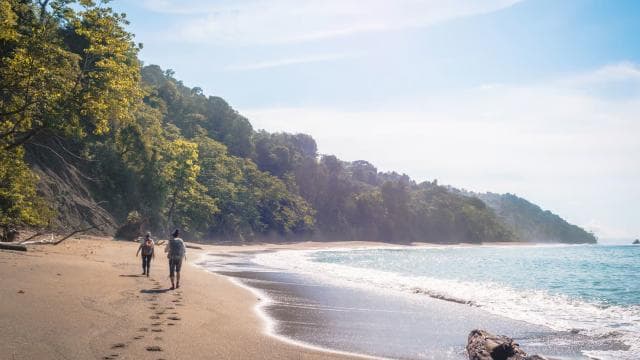Corcovado National Park: Guided Hiking Tour - Full Day