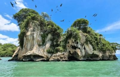 Samana: Los Haitises, Caño Hondo, Kayak Tour with Lunch