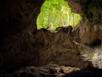 Samana: Los Haitises & Cano Hondo Overnight Tour