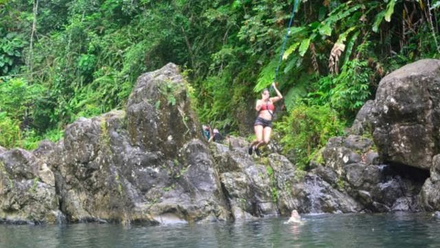 Vivid Day Tour in El Yunque Rain Forest with Transportation