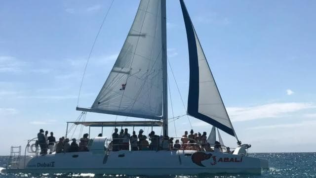 Saona Island Excursion from Punta Cana