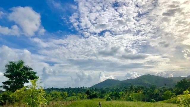 From Punta Cana: Jungle Buggy Adventure to Anamuya River