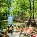 Samana: Los Haitises National Park & Cayo Levantado Tour
