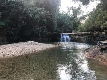 Adventure from Miches: Los Haitises, Caño Hondo, and Yanigua