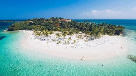 Punta Cana: Samaná Körfezi Balina Gözlemi ve Cayo Levantado - Photo 2 (Gallery view)