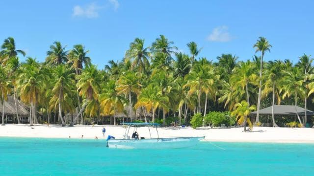 Punta Cana: Saona Island All-Inclusive Day Trip