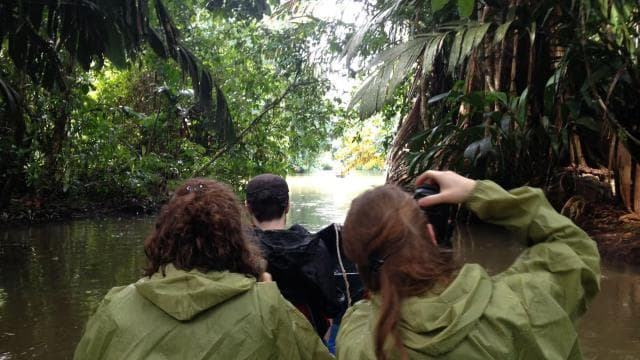 Tortuguero: Canoe Tour and Wildlife Spotting