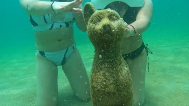 San Juan: sea trek tour explore beneath the waves
