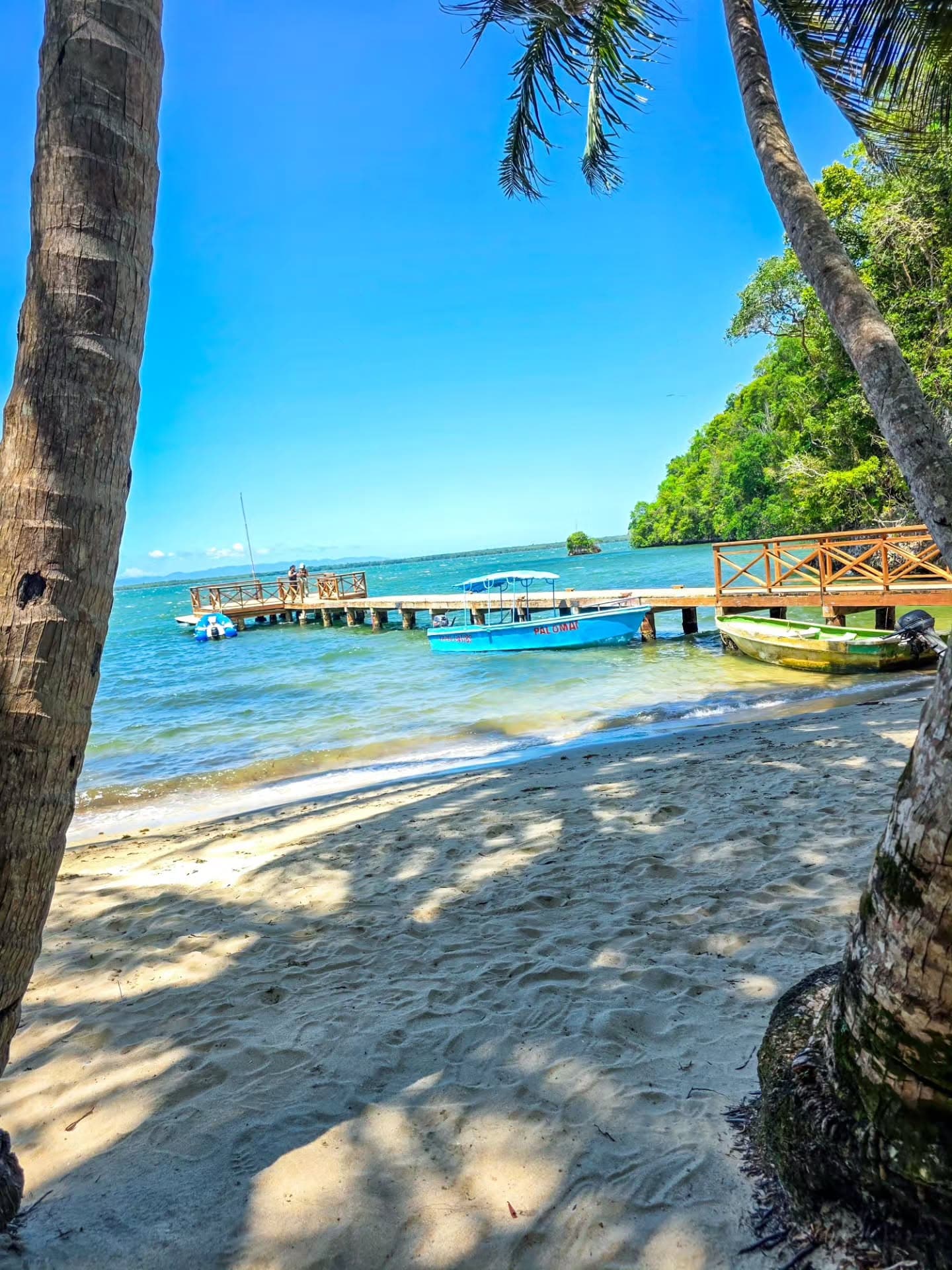 Los Haitises National Park and Cayo Levantado From Punta Cana - Photo 4 (Gallery view)