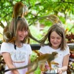 Из Байяибе: сафари в Monkeyland на полдня - Photo 2 (Gallery view)