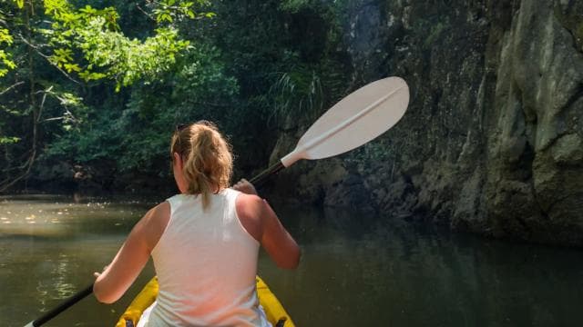 Kayaking Adventure: a 2-hour Wildlife Escape