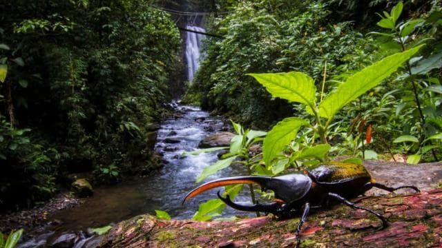 Monteverde: Waterfalls, Wild Trekking and Horseback Riding