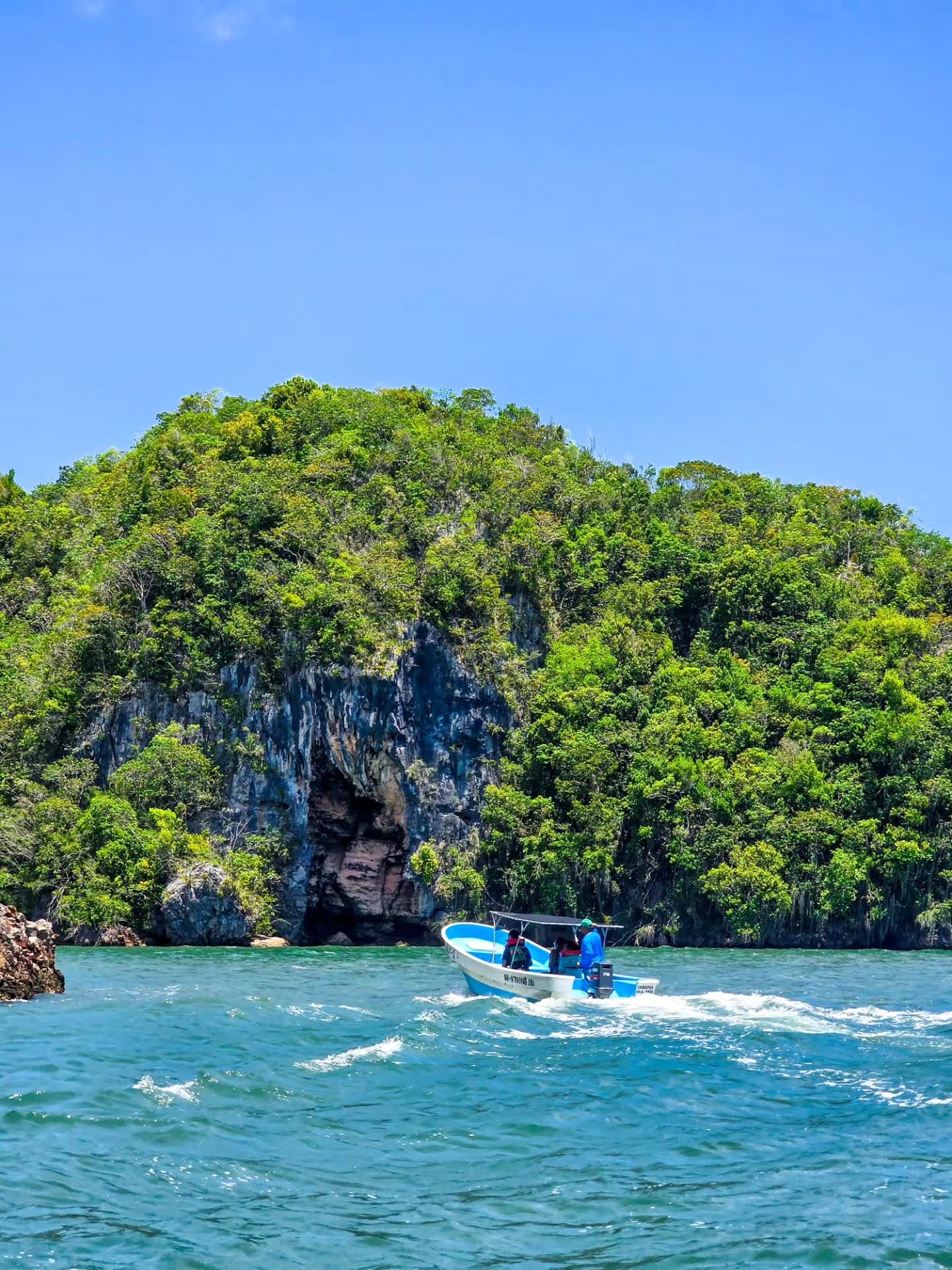 Los Haitises Tour from Las Terrenas & Bacardi Island (Cayo Levantado) - Photo 2 (Gallery view)
