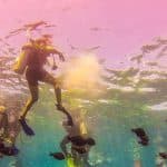 La Romana: Catalina Island Full-Day Snorkeling Tour