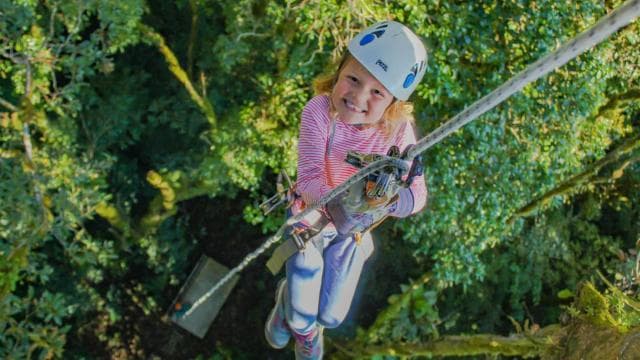 The Original Canopy Tour Monteverde - Photo 3 (Gallery view)