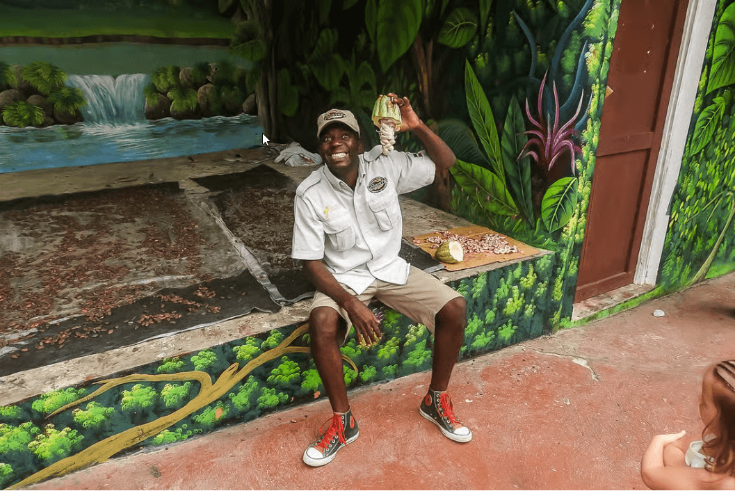 Punta Cana: Monkeyland Half-Day Safari and Plantation - Photo 4 (Gallery view)