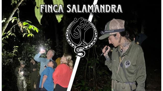 True Jungle Night Tour Manuel Antonio area