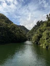 Bonao: Wandern Sie mit Einheimischen zu versteckten tropischen Wasserfällen - Photo 5 (Gallery view)