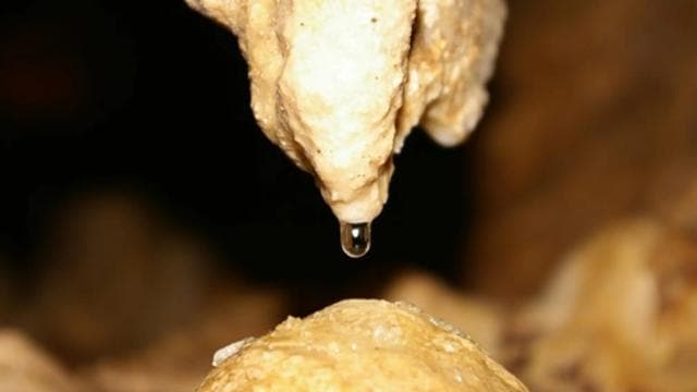 From La Fortuna: Venado Caves Exploration - Small Group Tour - Photo 3 (Gallery view)