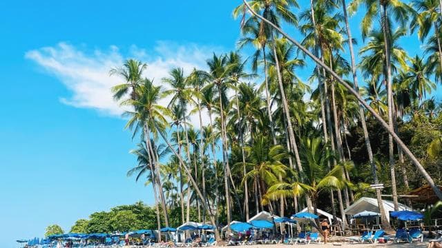 From Puntarenas: Isla Tortuga Speedboat Trip with Lunch