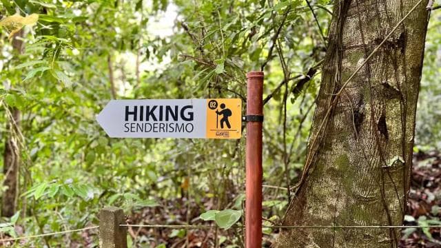 Self Guided Nature Hike with Ocean View Photo spots in Jaco - Photo 2 (Gallery view)
