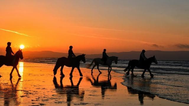 Playa Conchal: Horseback Riding -Sunset Private Tour For All