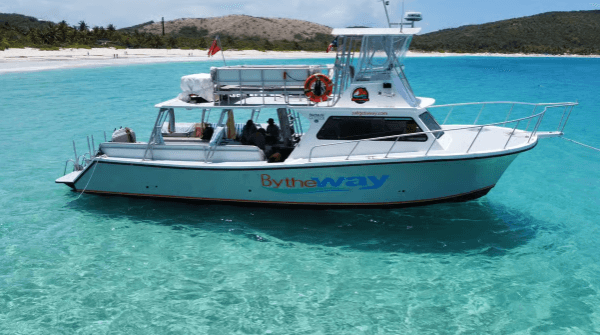Z Fajardo: nurkowanie łodzią motorową Culebra i wycieczka na plażę - Photo 2 (Gallery view)