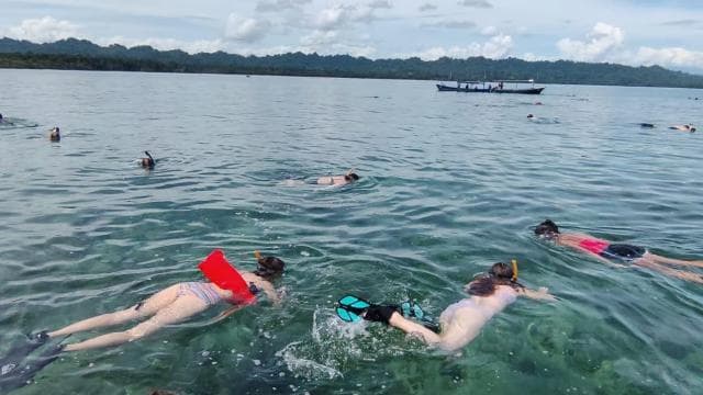 Cahuita National Park: Snorkel