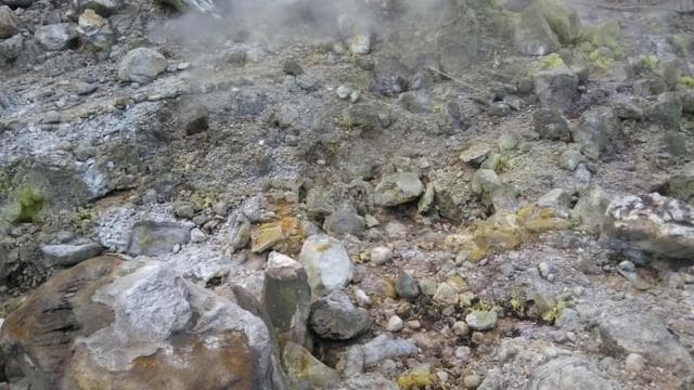 Guanacaste Province: Volcano Crater and Waterfalls Tour - Photo 5 (Gallery view)