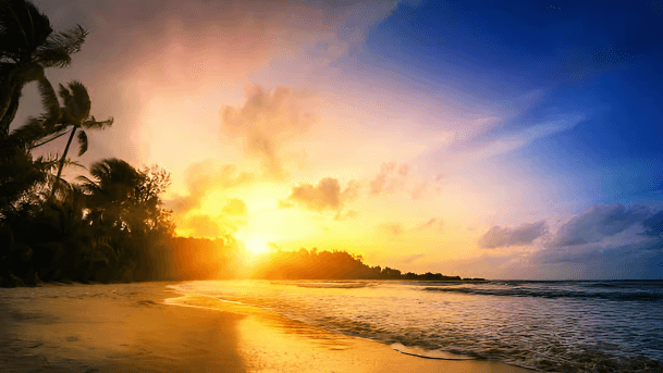 Punta Cana: Sunset Horseback Ride in Macao Beach and Forest - Dominican Republic