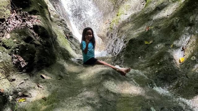 Puerto Jiménez: Corcovado, La Leona, and Mata Palo Waterfall with a typical lunch