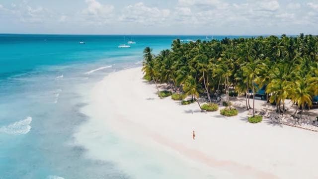 From Bayahibe: Saona Island, Open Bar, Speedboat & Lunch