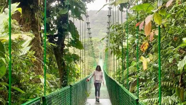 Monteverde Hanging Bridges and Night Walk Tour - Photo 3 (Gallery view)