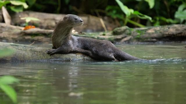 3-hour experience through the channels of the National Park.